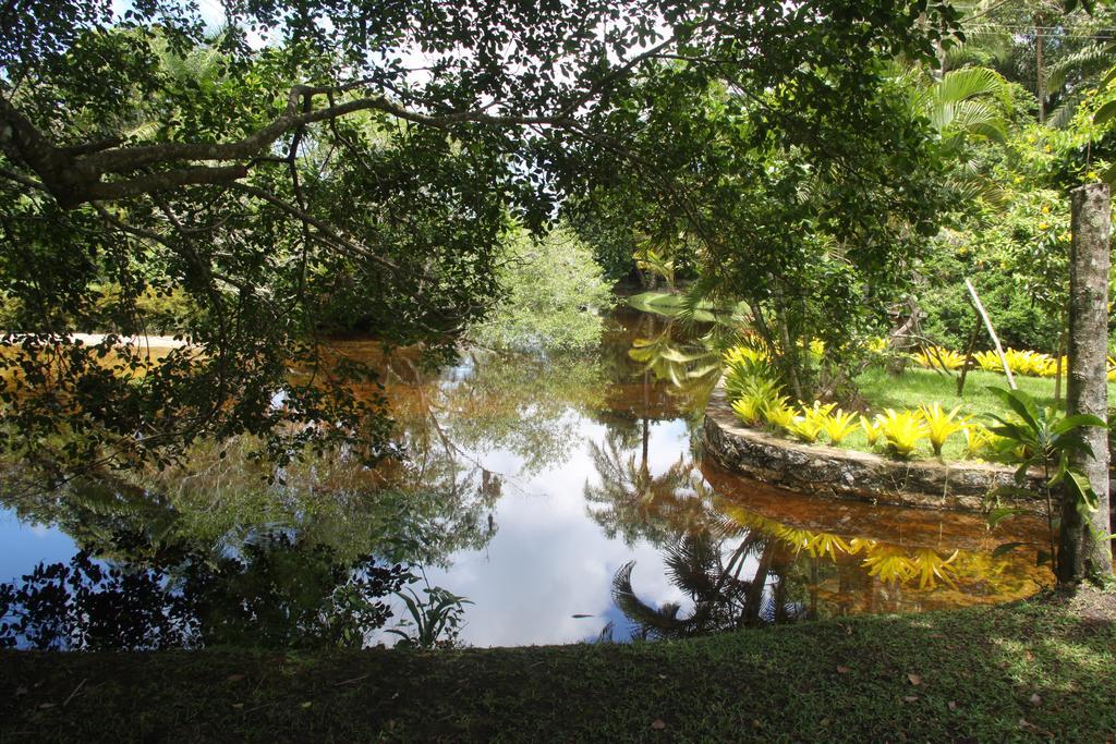 Resort Tororomba Olivenca Luaran gambar